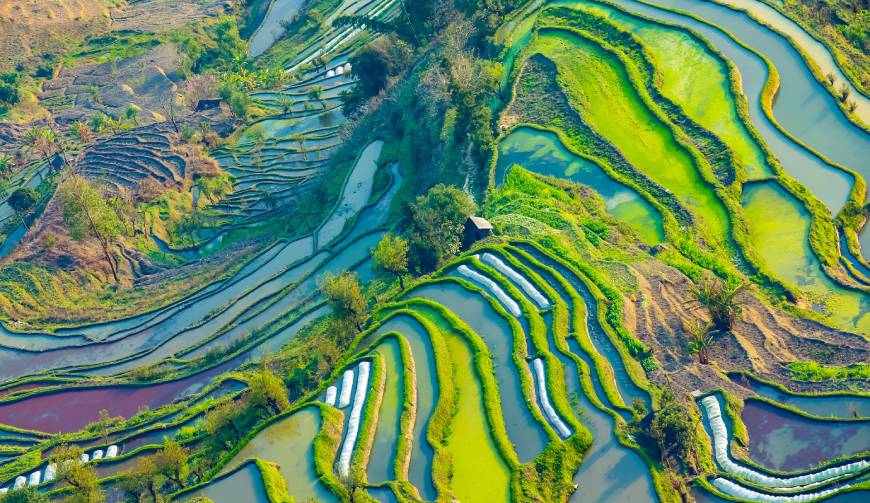 走进固始县TVC拍摄：解锁本地化场景与创意镜头的完美融合